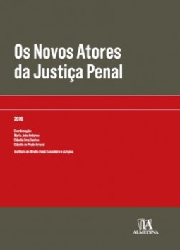 Os novos atores da justiça penal