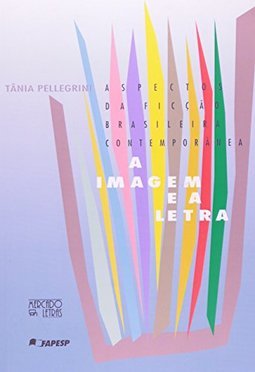 A imagem e a letra: aspectos da ficção brasileira contemporânea