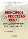 Princípios do processo penal: teoria, jurisprudência e direito internacional