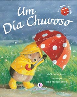 Um dia chuvoso