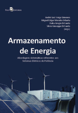 Armazenamento de energia: abordagens sistemáticas referentes aos sistemas elétricos de potência