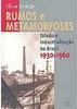 Rumos e Metamorfoses: Estado Industrialização no Brasil 1930-1960