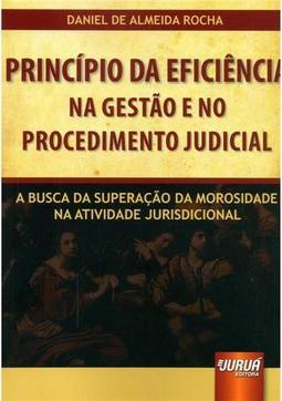 Princípio da Eficiência na Gestão e no Procedimento Judicial