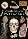 Anatomicum Postcard Box: by Katie Scott