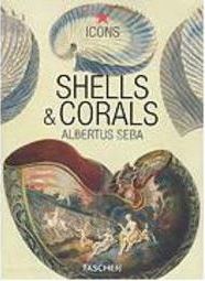 Shells & Corals - Importado