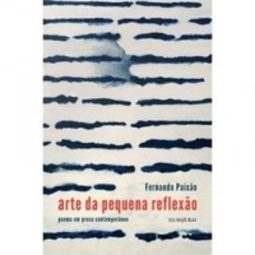 arte da pequena reflexão