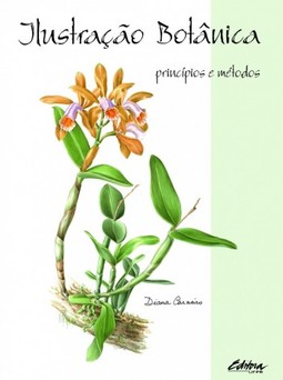 Ilustração botânica: princípios e métodos