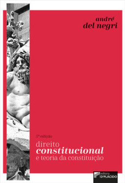 Direito constitucional e teoria da constituição