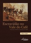 Escravidão no vale do café: vassouras, senhores e escravos em 1838