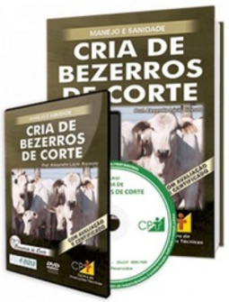 Cria de bezerros de corte