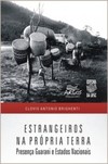 Estrangeiros na própria terra: presença guarani e estados nacionais