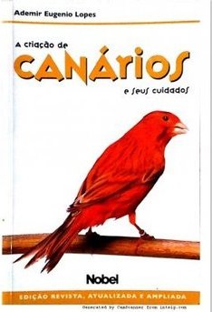 A Criação de Canários e Seus Cuidados