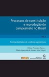 Processos de constituição e reprodução do campesinato no Brasil: formas tuteladas de condição camponesa