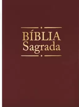 Bíblia Sagrada - Dourada bordo