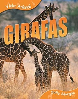 Girafas