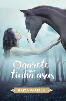 O garoto que tinha asas