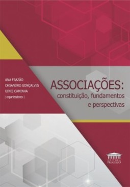 Associações: constituição, fundamentos e perspectivas
