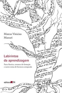 Labirintos da aprendizagem: pacto fáustico, romance de formação e outros temas de literatura comparada