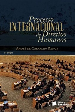 Processo internacional de direitos humanos