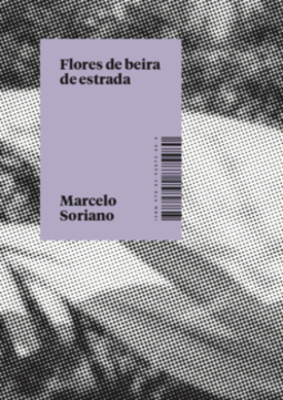 Flores de beira de estrada