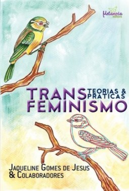 Transfeminismo: Teorias e práticas
