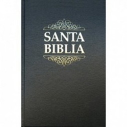 Bíblia Reina Valera Português (Livro)