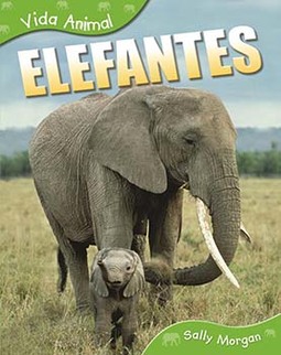 Elefantes