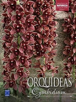 Orquídeas cymbidium