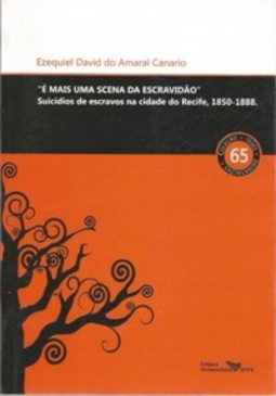 "É MAIS UMA SCENA DA ESCRAVIDÃO" (Teses e Dissertações #65)