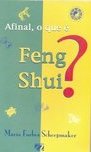 Afinal, o Que É Feng Shui?