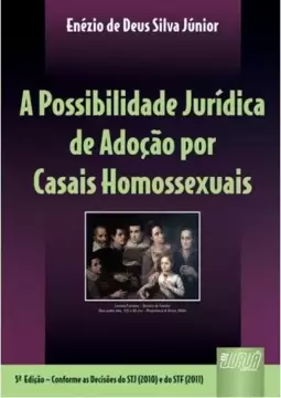 Possibilidade Jurídica de Adoção por Casais Homossexuais, A