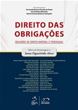 Direito das obrigações: Reflexões no direito material e processual