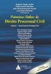 Primeiras linhas de direito processual civil: teoria geral do processo civil