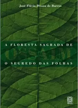 Floresta Sagrada De Ossaim: O Segredo Das Folhas