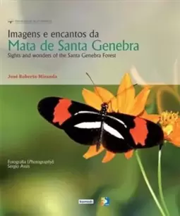 Imagens e Encantos da Mata Santa Genebra