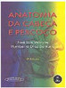 Anatomia da Cabeça e Pescoço