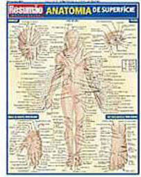 Resumão: Anatomia de Superfície