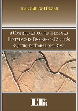 A contribuição dos princípios para a efetividade do processo de execução na justiça do trabalho no Brasil