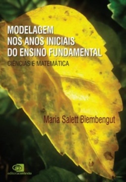 Modelagem nos anos iniciais do ensino fundamental