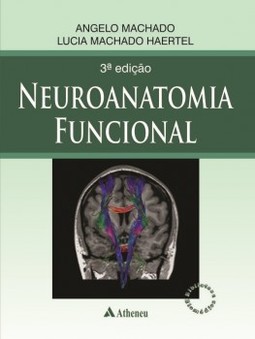 Neuroanatomia funcional