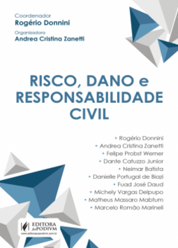 Risco, dano e responsabilidade civil
