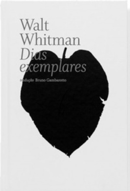 Dias exemplares
