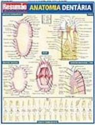 Resumão: Anatomia Dentária