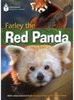 Farley the Red Panda
