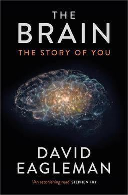 THE BRAIN: THE STORY OF YOU