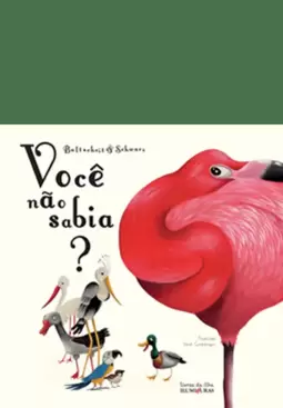 Voce Nao Sabia?