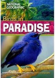 Birds in Paradise