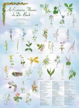 As Essências Florais do Dr. Bach