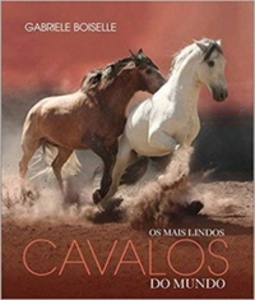 Os Mais Lindos Cavalos do Mundo
