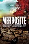 Mefibosete: A cura emocional na trajetória entre Lo-Debar (lugar nenhum) e Jerusalém (a cidade santa)